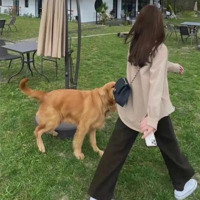 克罗马小子